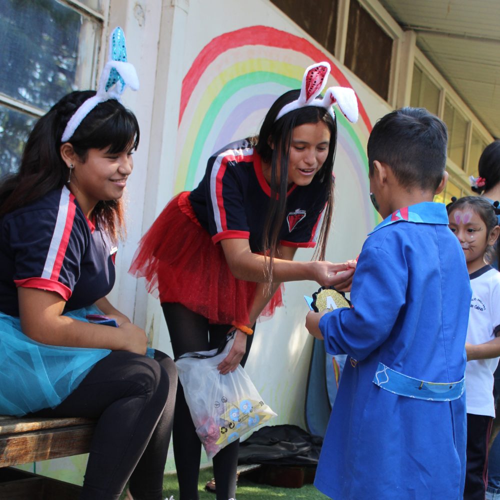 Explorando la verdadera vocación: PACE UOH pone en práctica dispositivos experienciales desde el área de Educación hasta el área vitivinícola