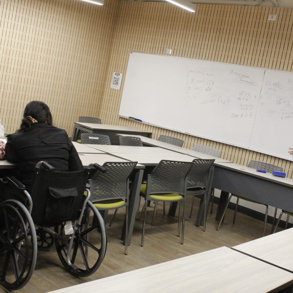 Acompañamiento en la Educación Superior (AES)