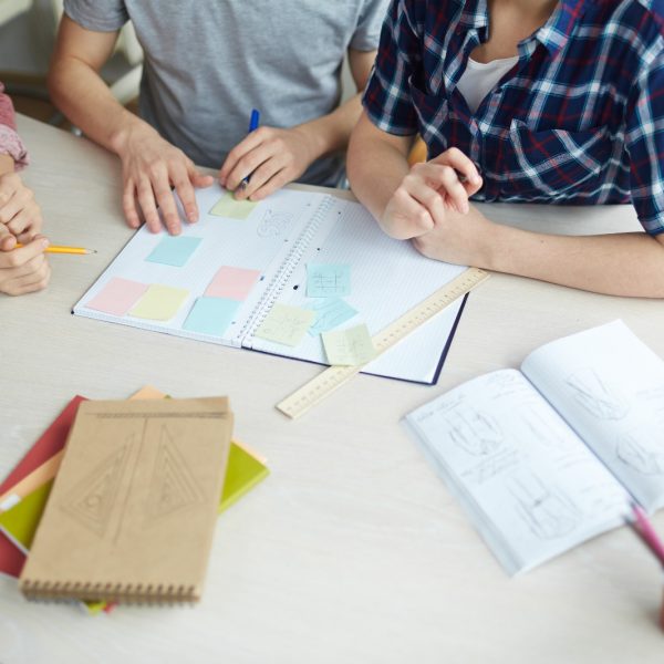 Estrategias de Planificación Diversificada en el Aula