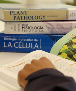 Pedagogía en Ciencias Naturales