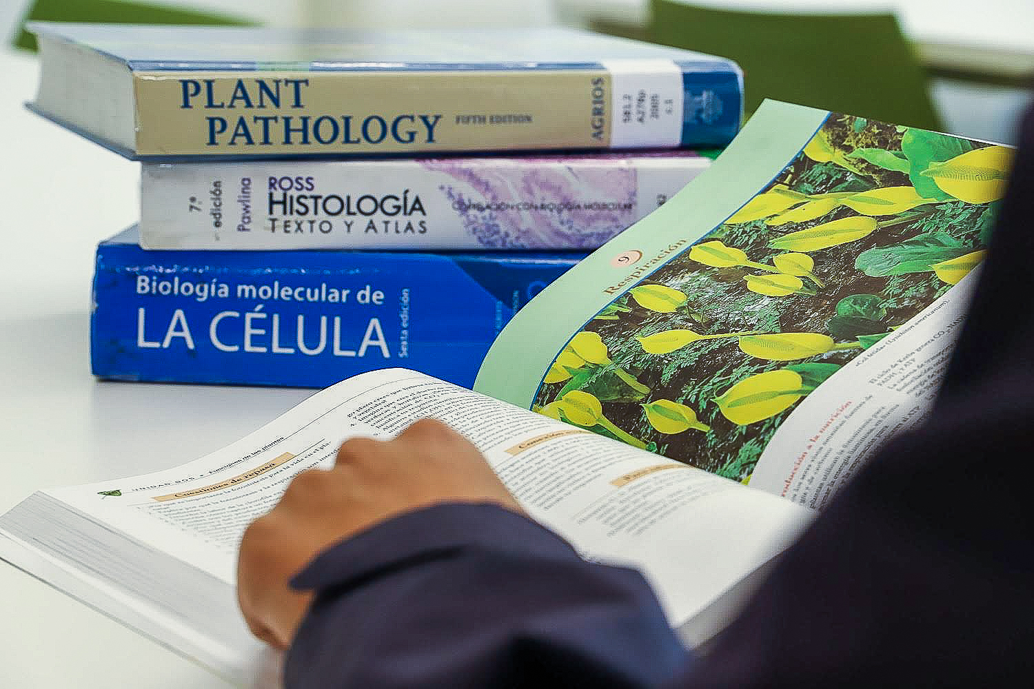 Pedagogía en Ciencias Naturales logró el máximo de años de acreditación para carrera sin titulados/as