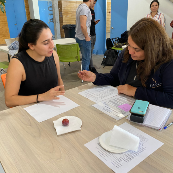 Más de 50 personas participan en evaluación sensorial de fruta en el Campus Colchagua UOH