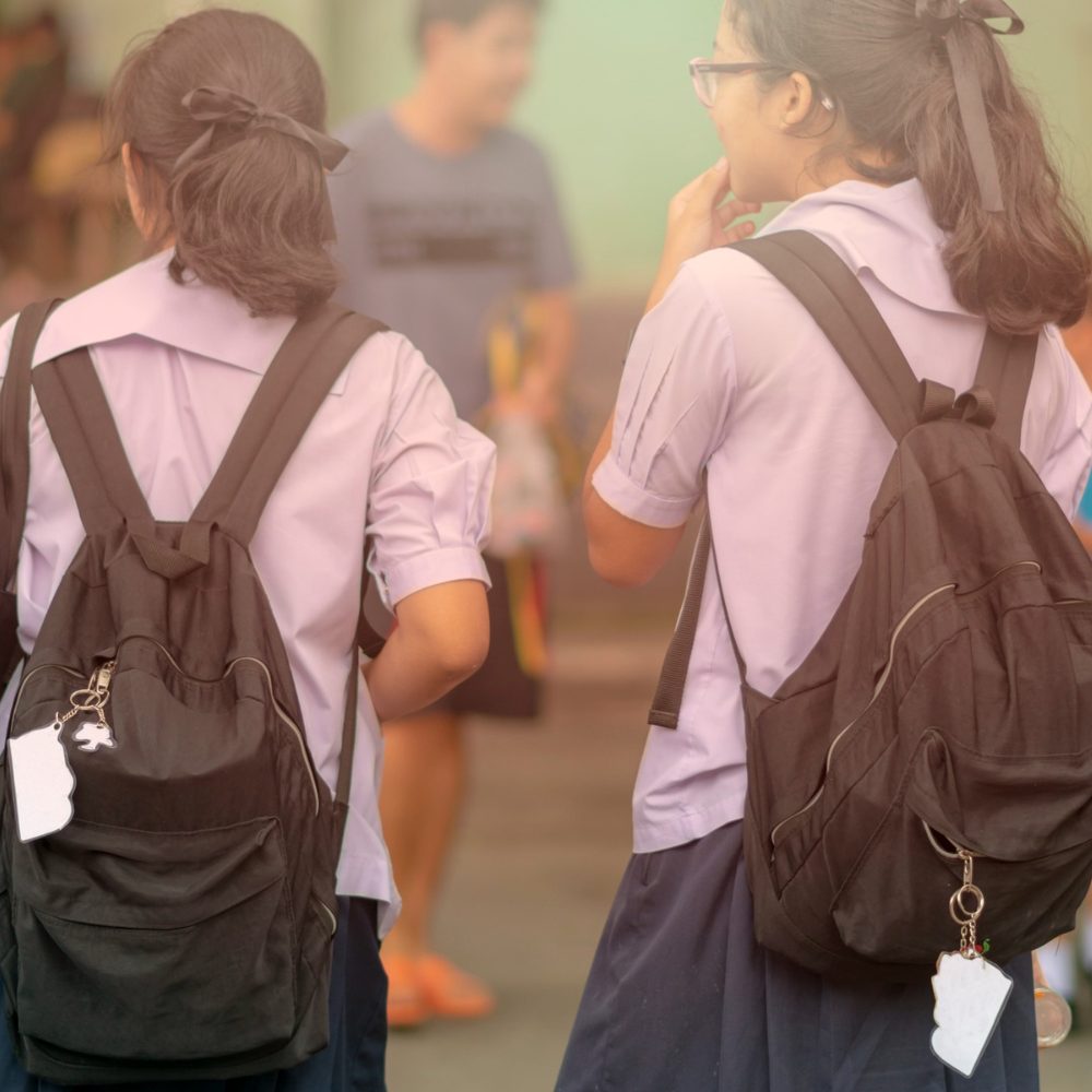 Ley de Inclusión Escolar: potencialidades y debilidades