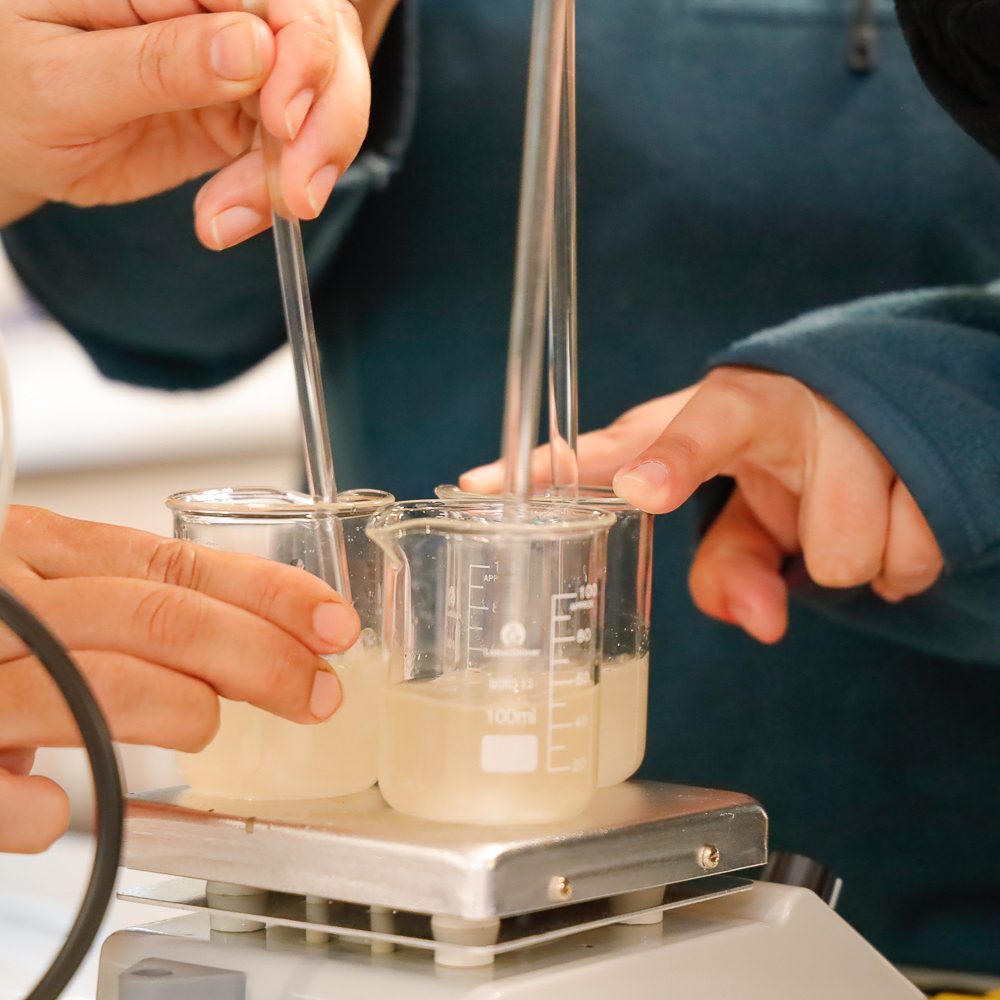 Carrera de Pedagogía en Ciencias Naturales lidera formación en cristalografía para docentes de la región