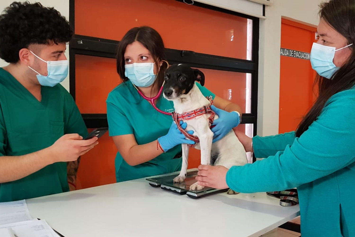 Ceremonia de Investidura de estudiantes de Medicina Veterinaria