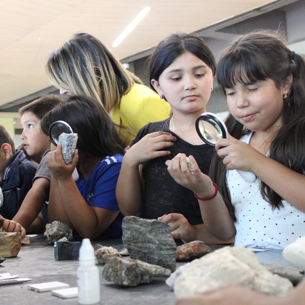 Con una feria de ciencias se realizó el cierre de Más Mujeres en STEM