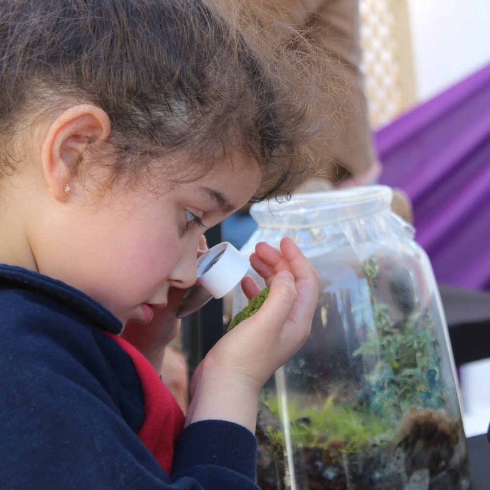 Festival de la Ciencia en O’Higgins: inscríbete en las actividades gratuitas