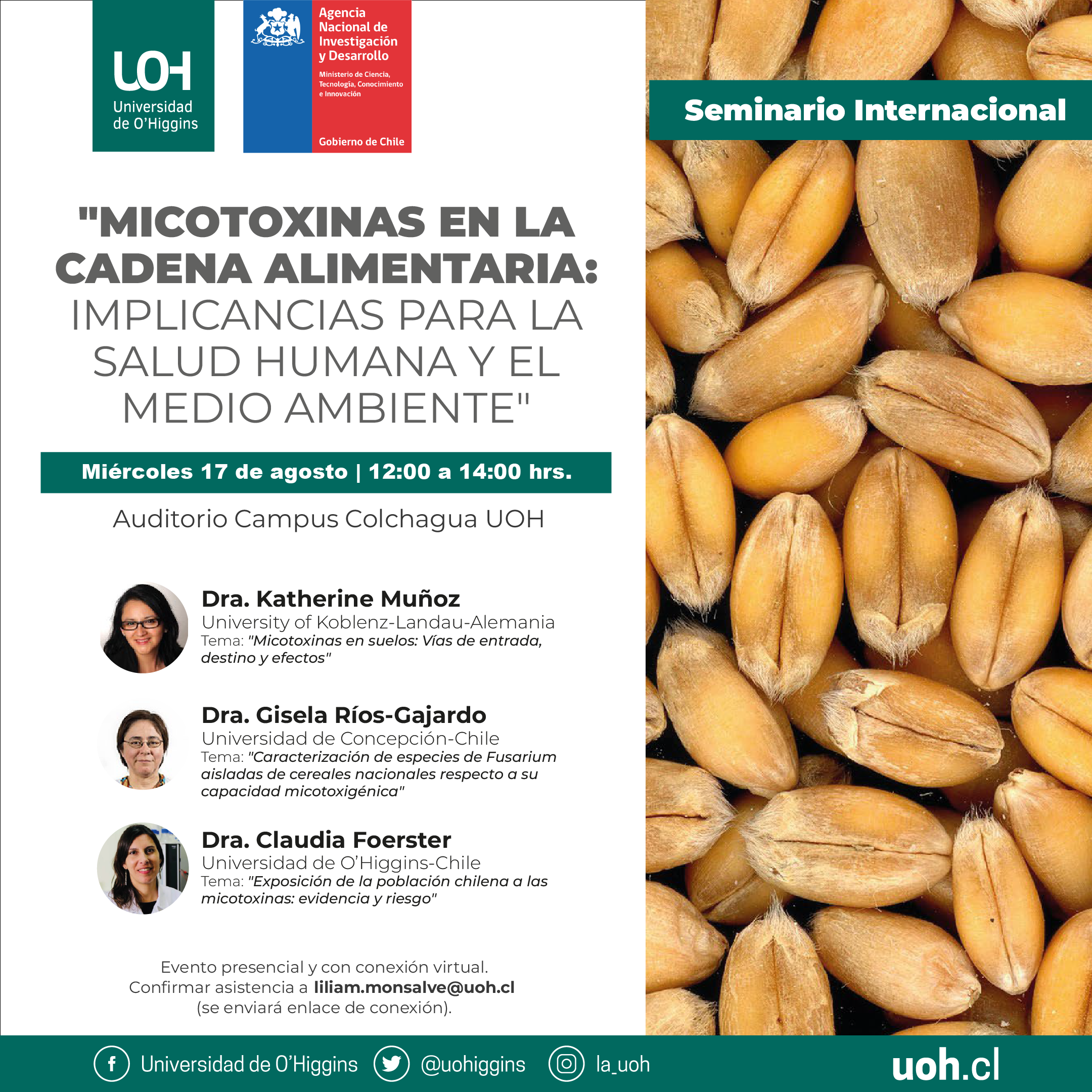 Seminario: Micotoxinas en la cadena alimentaria