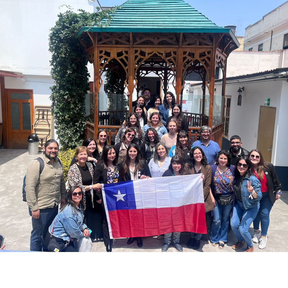 Docentes, tituladas/os y estudiantes UOH participan en el XIV Congreso Latinoamericano de Terapia Ocupacional en Lima