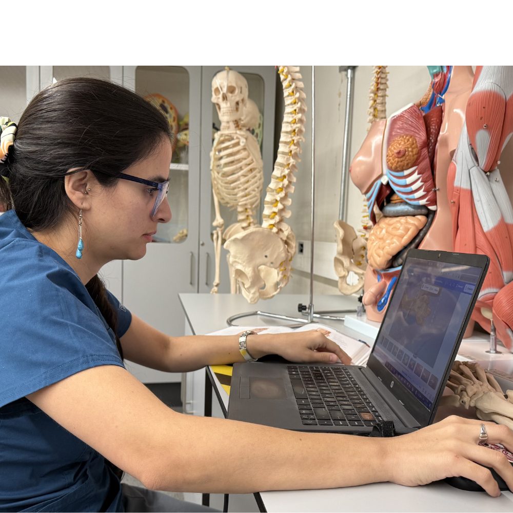 Escuela de Salud UOH lanza “Programa de Anatomía”: una estrategia innovadora y transversal para el aprendizaje en salud