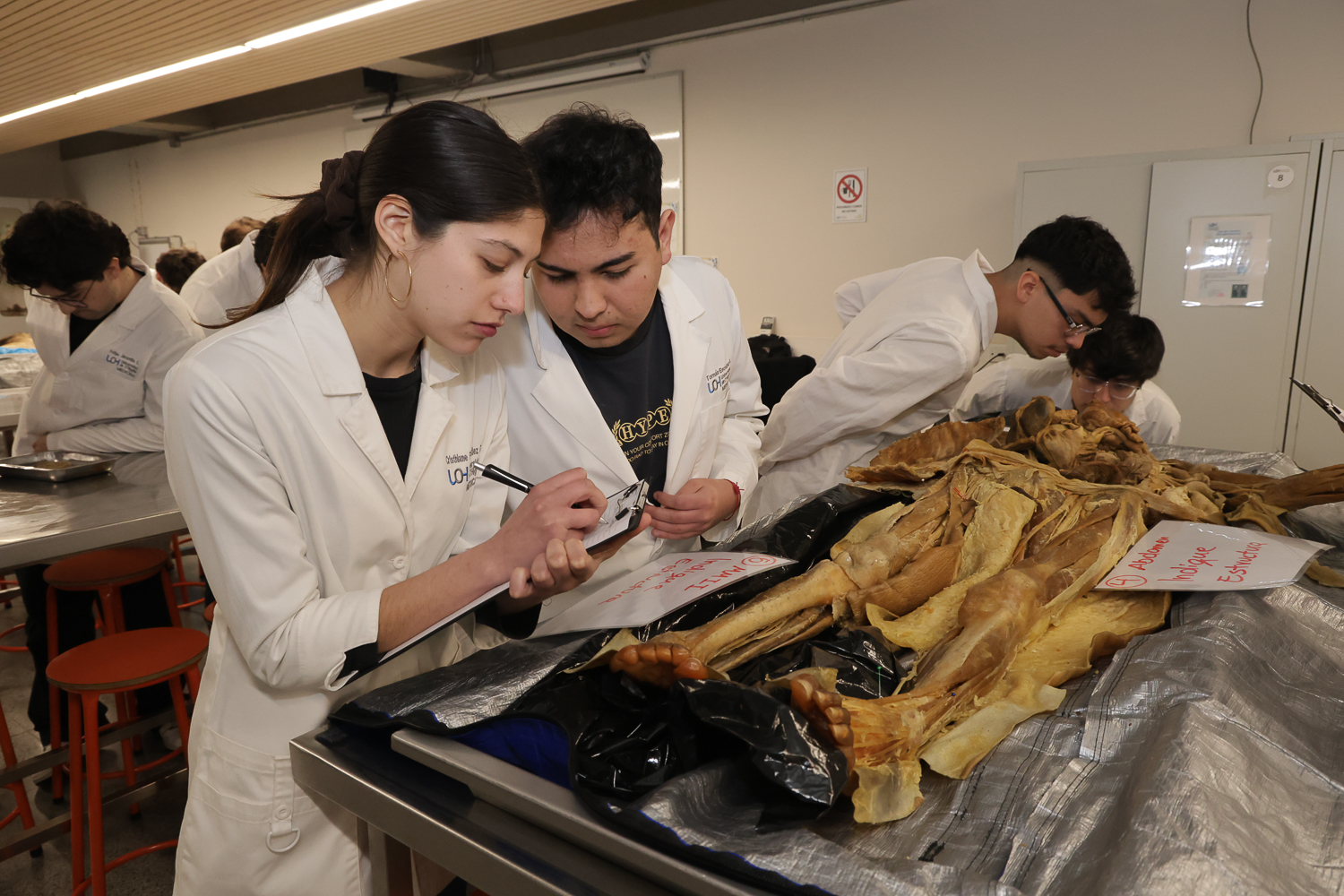 Estudiantes de la Escuela de Salud midieron sus conocimientos en la 2da Olimpiada de Anatomía UOH