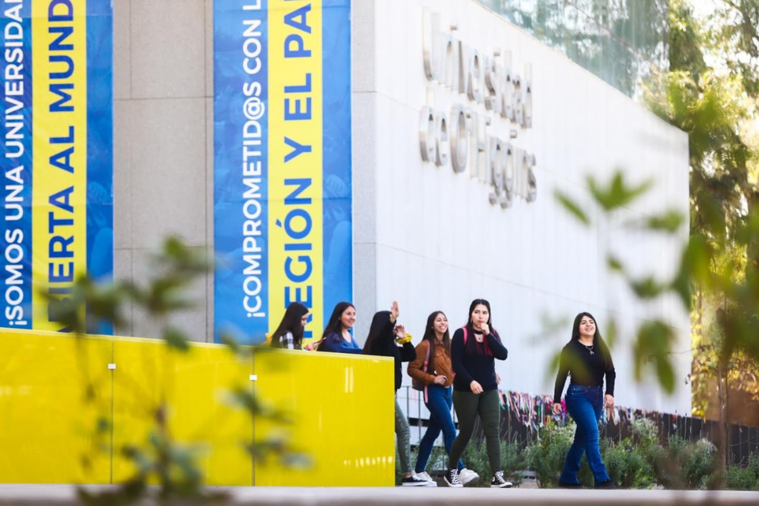 Consejo Académico UOH aprobó cuatro nuevas carreras de pregrado