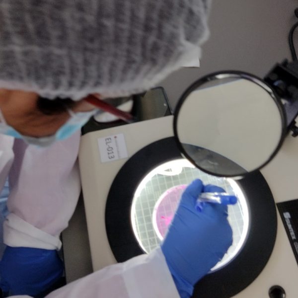 Estudiantes de la región conocen laboratorios de inocuidad alimentaria y de micotoxinas de la UOH