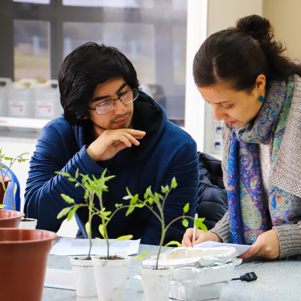 Universidad de O’Higgins expondrá en Expo Chile Agrícola 2022