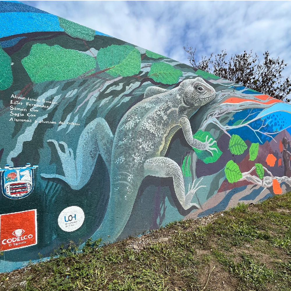 Inauguran mural sobre fauna nativa en Colegio La Isla de Doñihue