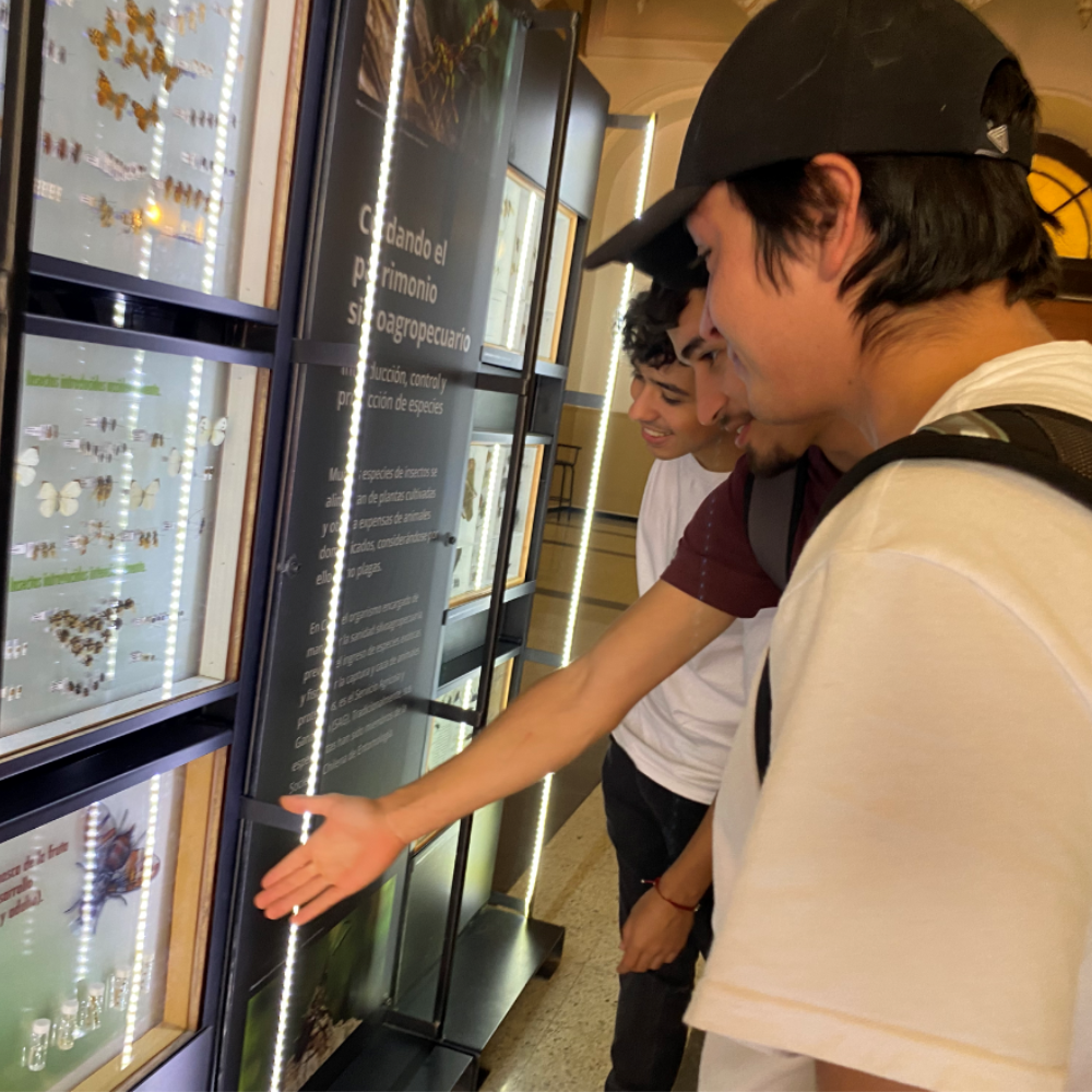 Estudiantes del curso Entomología Agrícola UOH visitan Museo Nacional de Historia Natural