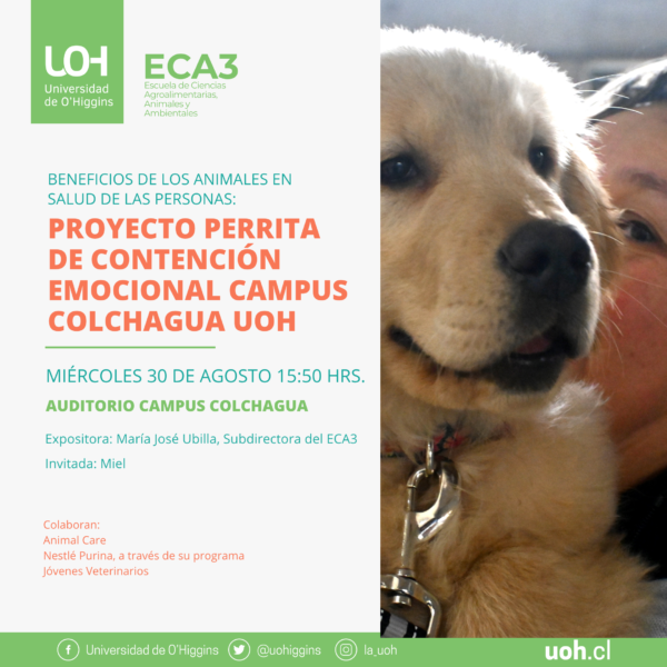 [Beneficios de los animales en salud de las personas] Proyecto perrita de contención emocional Campus Colchagua UOH