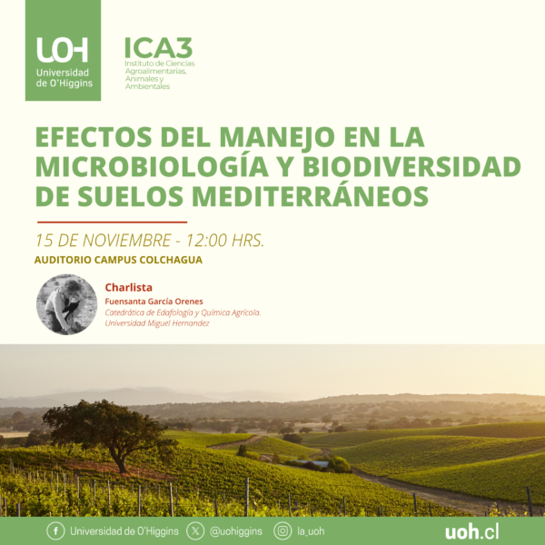 [Charla] Efectos del manejo en la microbiología y biodiversidad de suelos mediterráneos