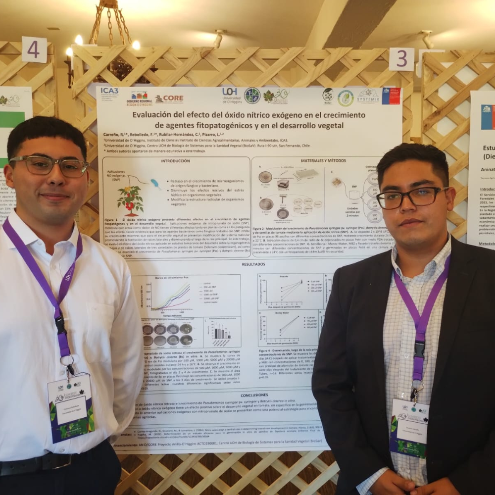 Estudiantes de Ingeniería Agronómica UOH obtienen distinción en el 30° Congreso de la Sociedad Chilena de Fitopatología