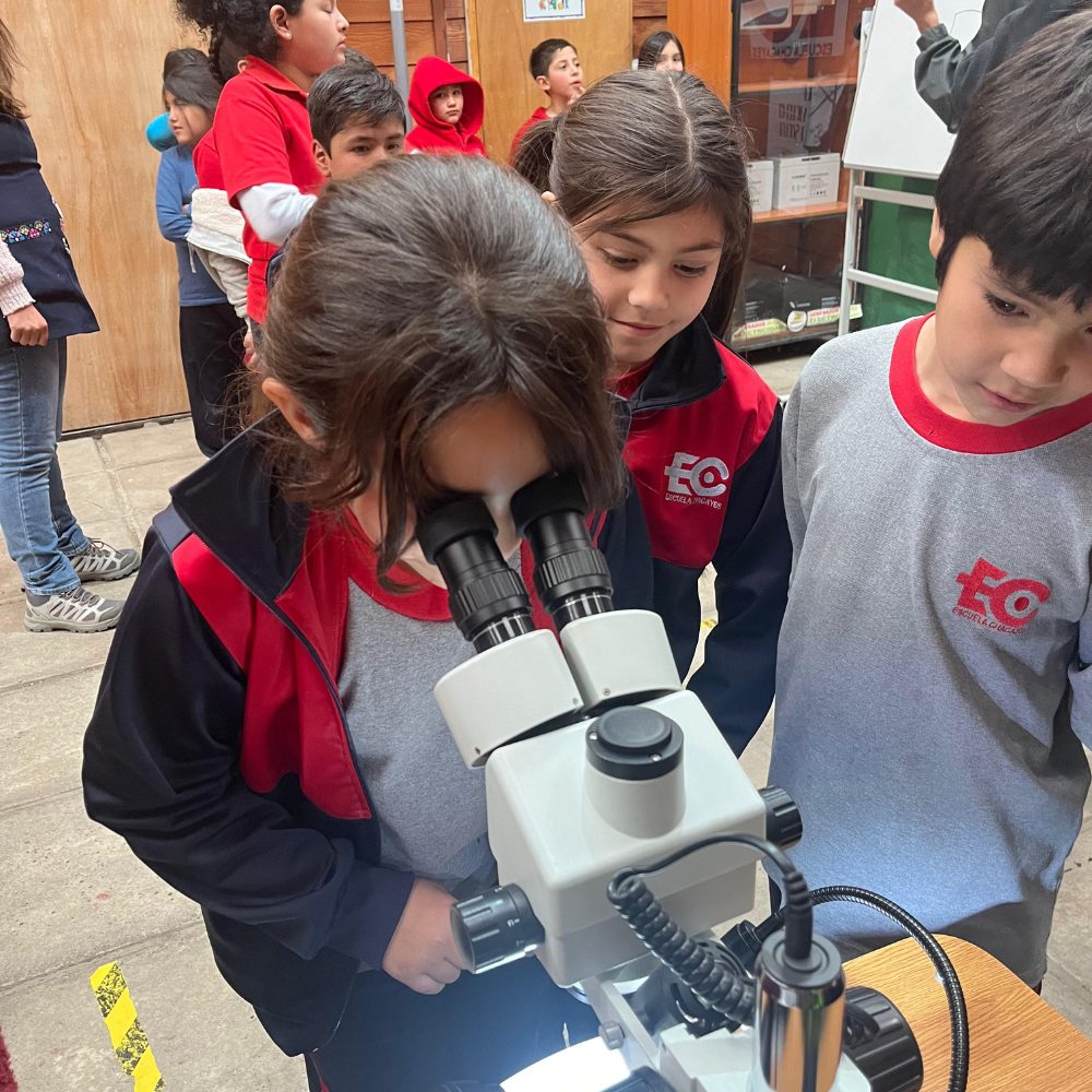 Académico UOH acercó la dendrocronología a estudiantes de la Escuela Básica de Chacayes