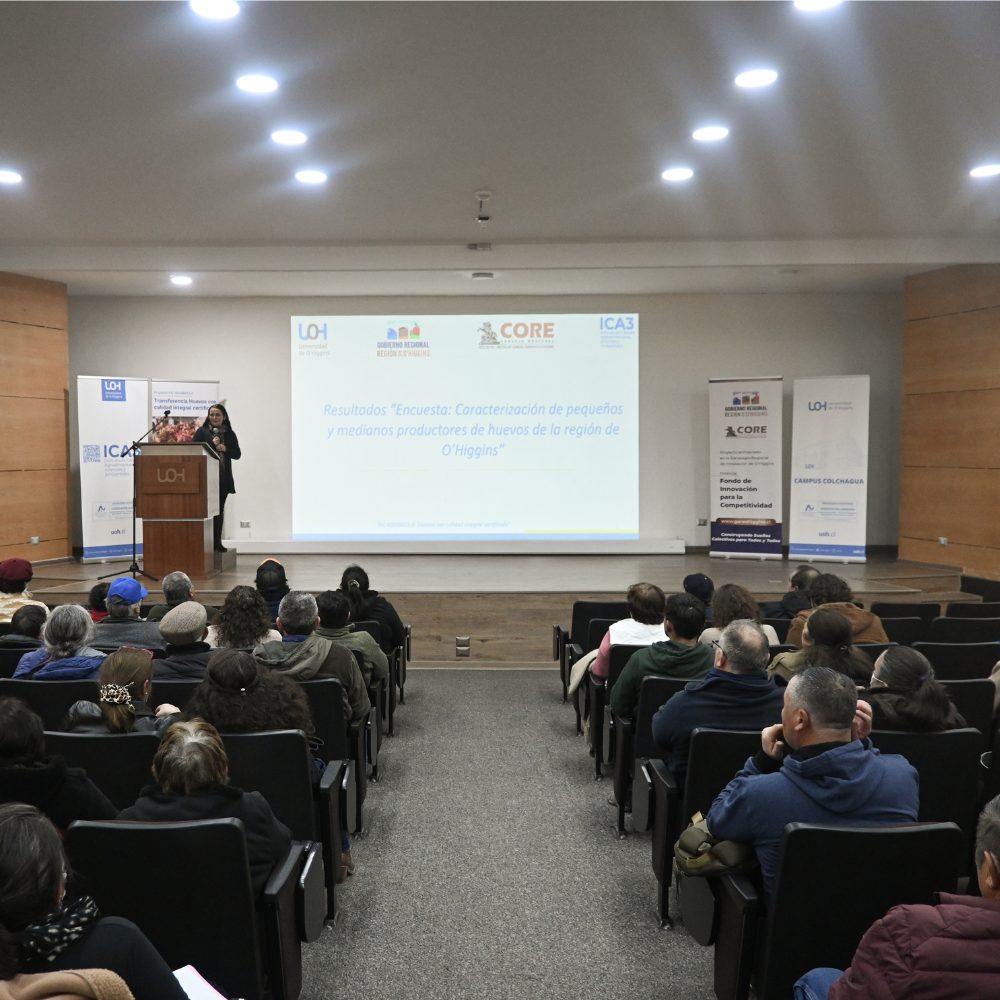 Encuesta arroja que el 81% de las explotaciones avícolas a escala rural son manejadas por mujeres