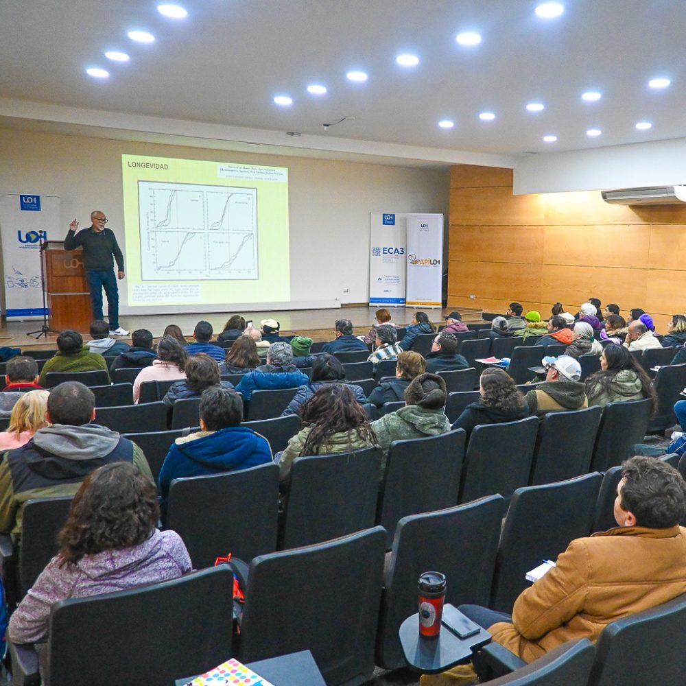 Apicultoras/es de O’Higgins reciben curso de “Nutrición Apícola” impartido por experto internacional en la UOH