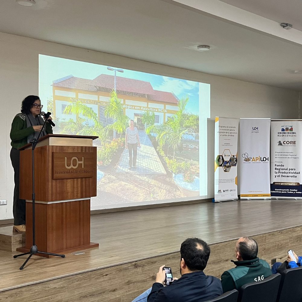 Apicultores regionales participaron en taller internacional sobre mejoramiento genético en abejas