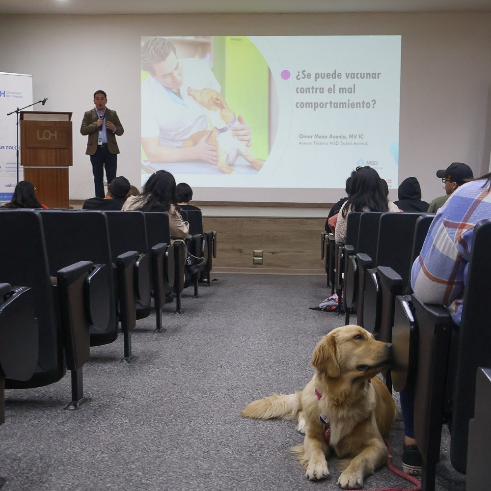 Celebración del Día del/la Médica/o Veterinaria/o en la UOH: un espacio de aprendizaje y oportunidades para las/os estudiantes