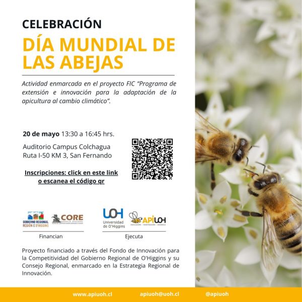 [Celebración] Día mundial de las abejas