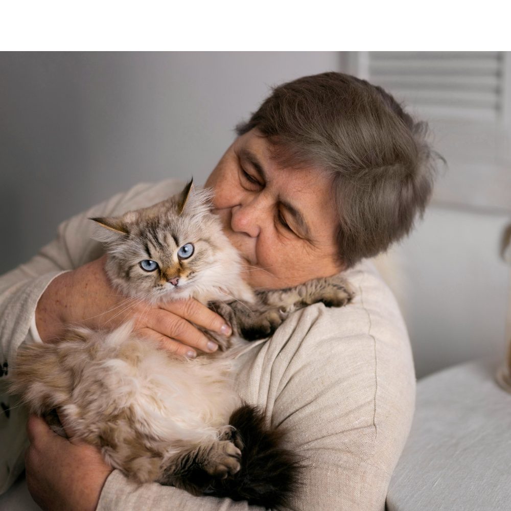 Más que compañía: lo que debes saber sobre los gatos en su día internacional