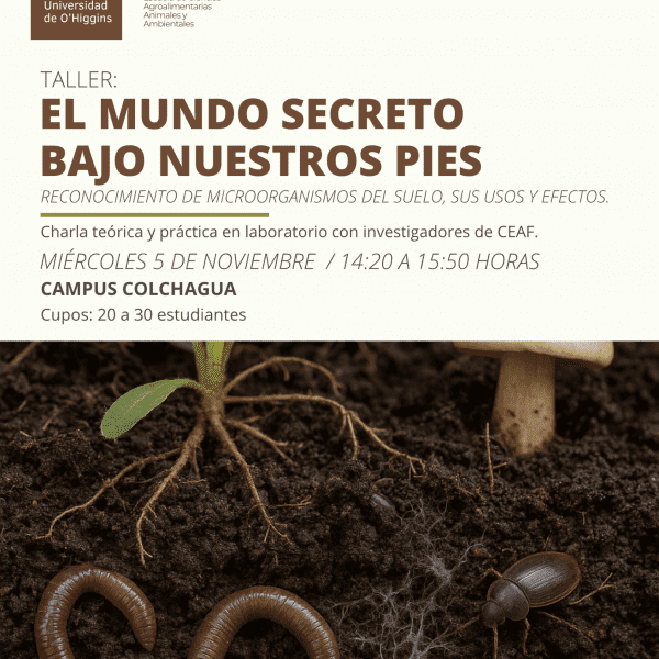 [Taller] El mundo secreto bajo nuestros pies