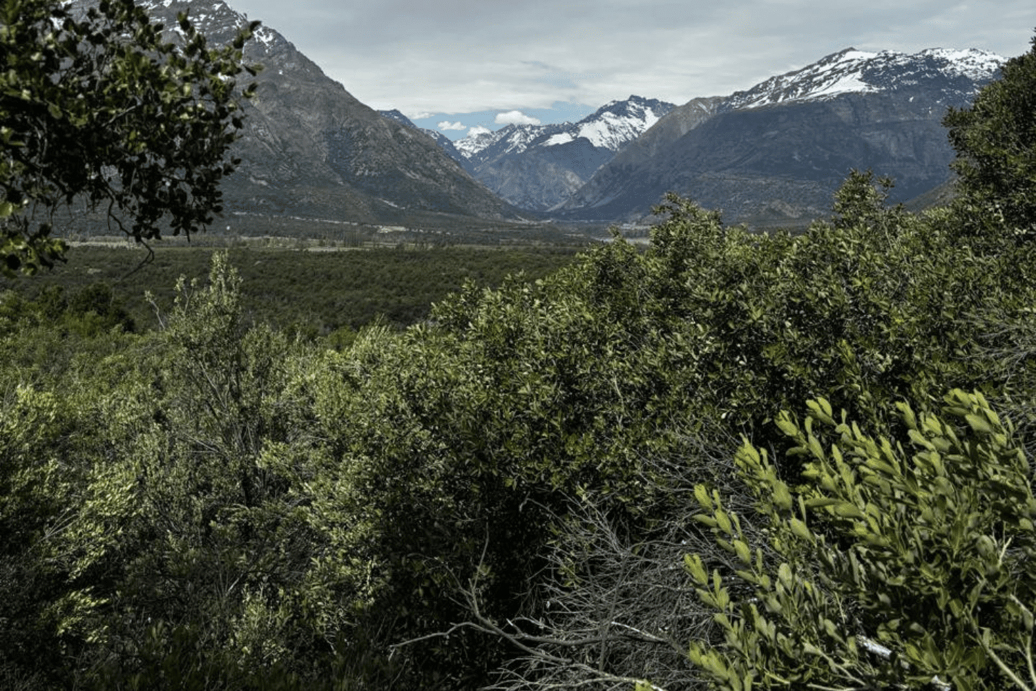 Experta UOH analiza los riesgos de paralizar decretos medioambientales