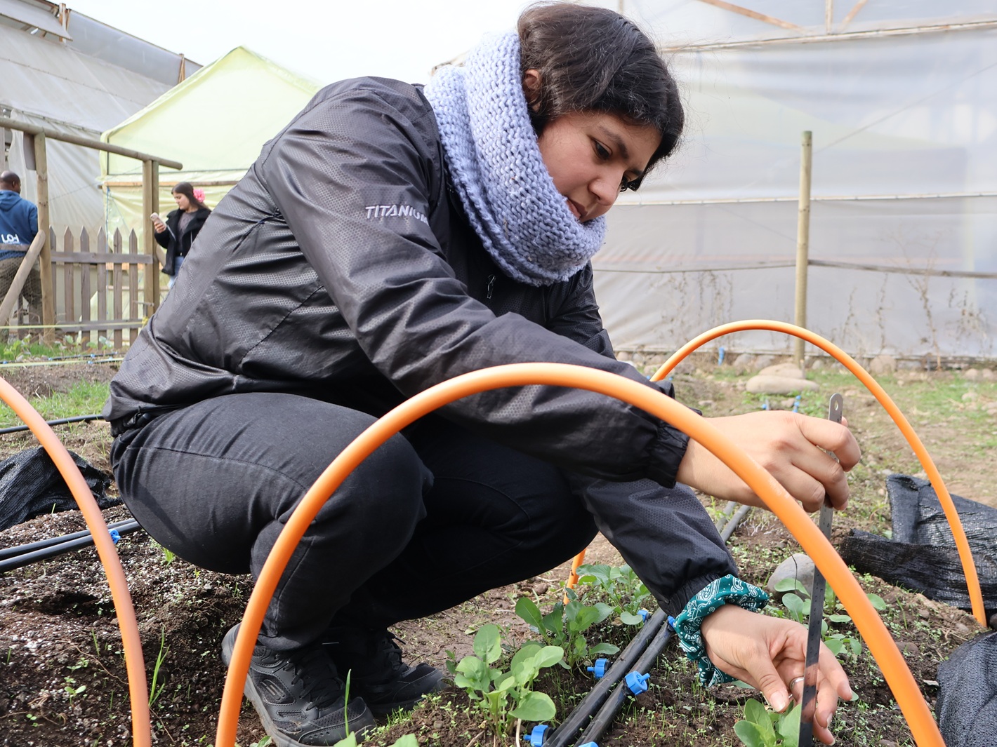 El ingeniero agrónomo frente al cambio climático: un profesional clave para adaptar la producción