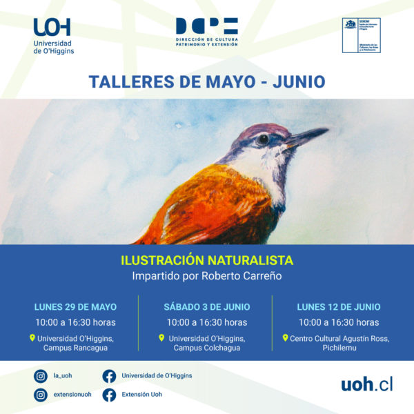 Talleres Nodos de Cultura en Movimiento
