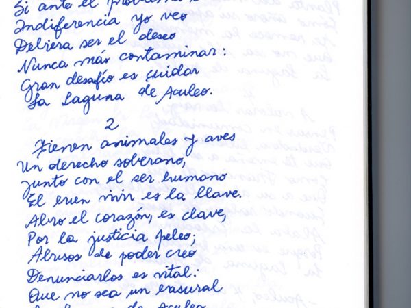 CP_68.I_Verso laguna de Aculeo_Francisco Astorga 1