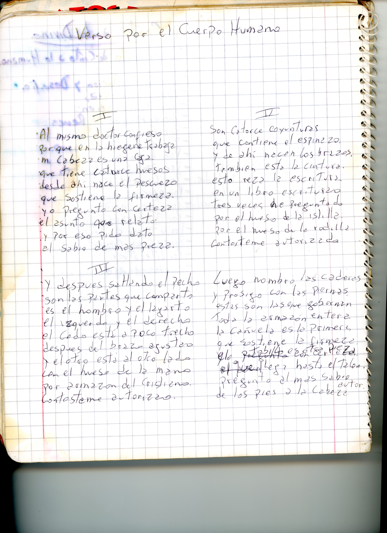 CP_127_verso por el cuerpo humano 1
