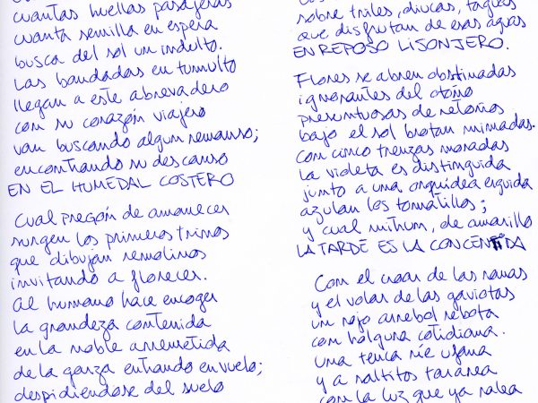 CP_30_verso a lo humano_el humedal