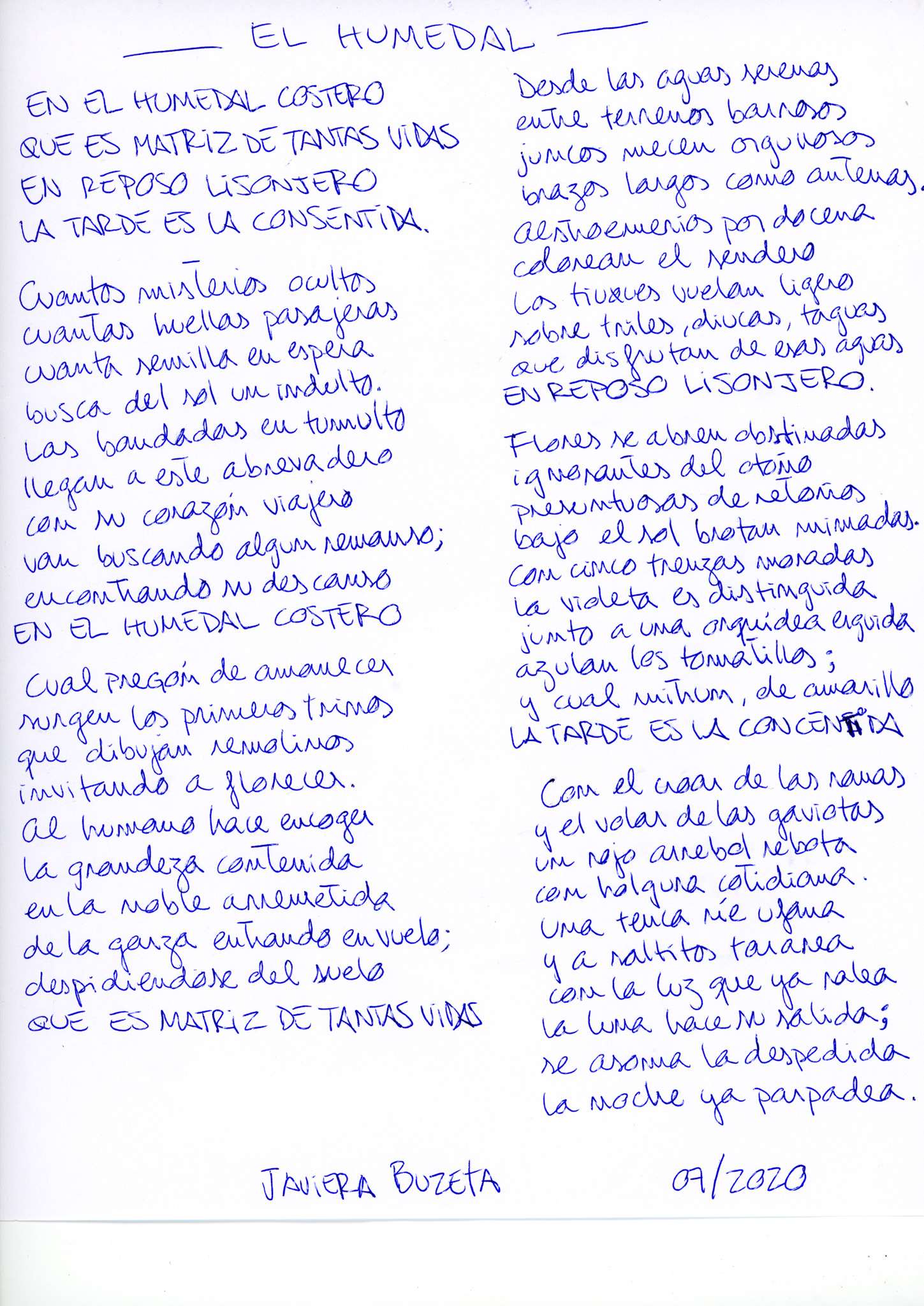 CP_30_verso a lo humano_el humedal