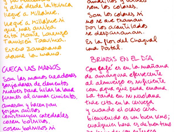 CP_35_cuecas