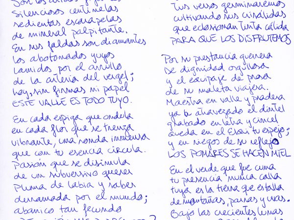 CP_36_verso a lo humano_gabriela