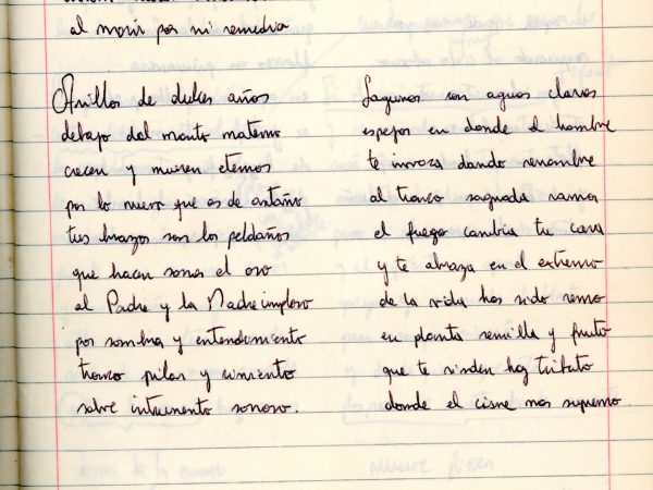 CP_42_verso a lo humano_por literatura_la madera 1