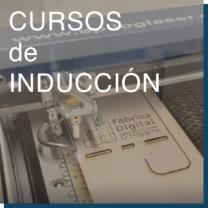 Cursos de inducción