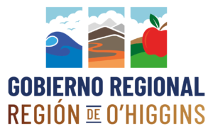 gobierno regional