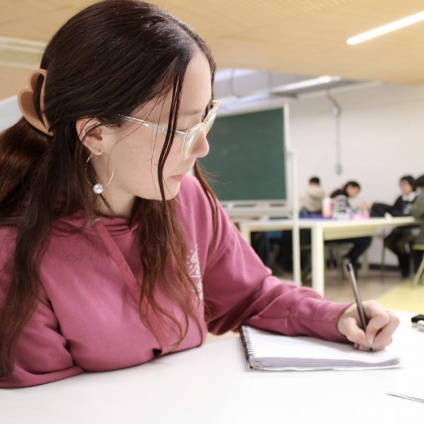 Acompañamiento en la Educación Superior (AES)