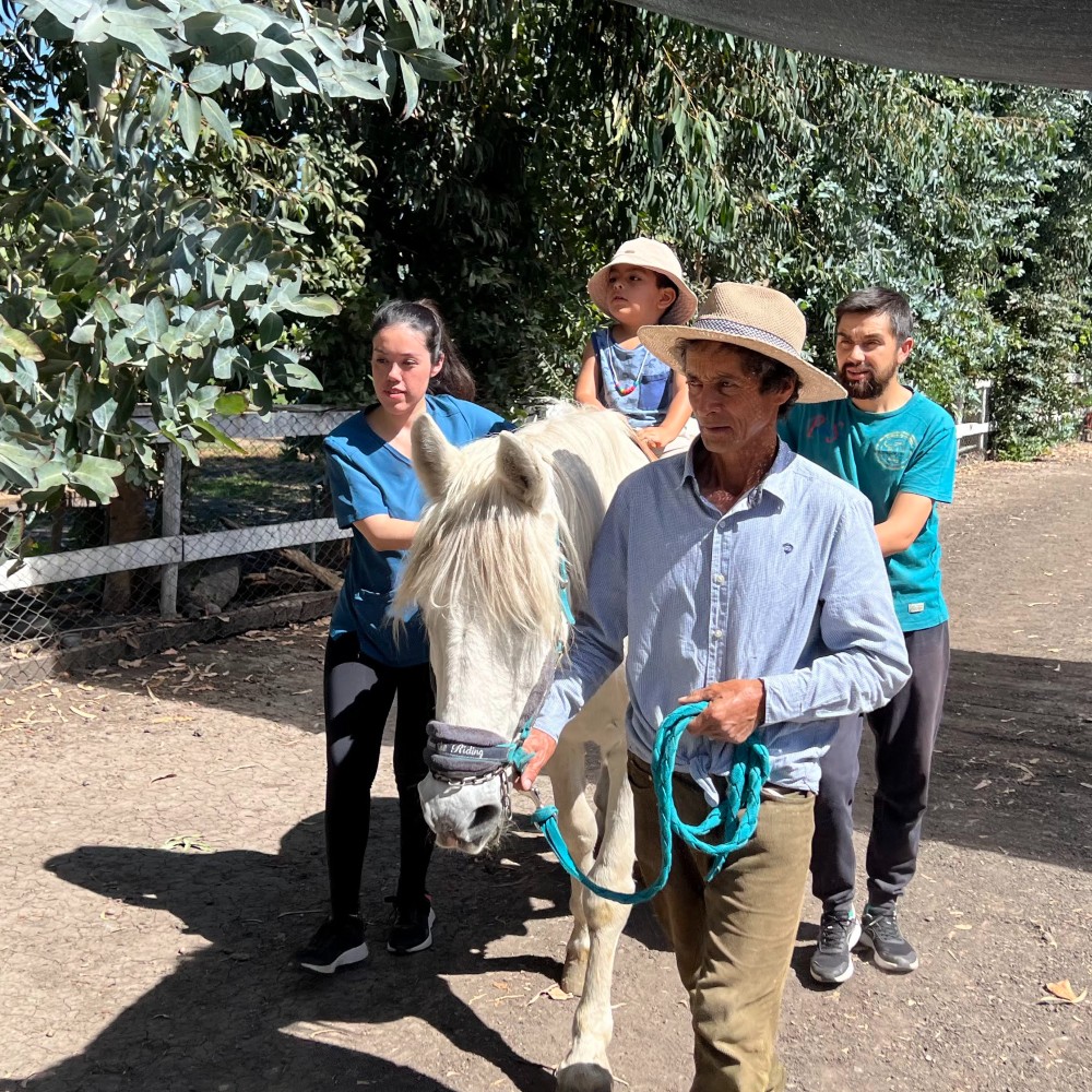 Estudiantes de Terapia Ocupacional realizan su práctica en centro de equinoterapia en Quinta de Tilcoco