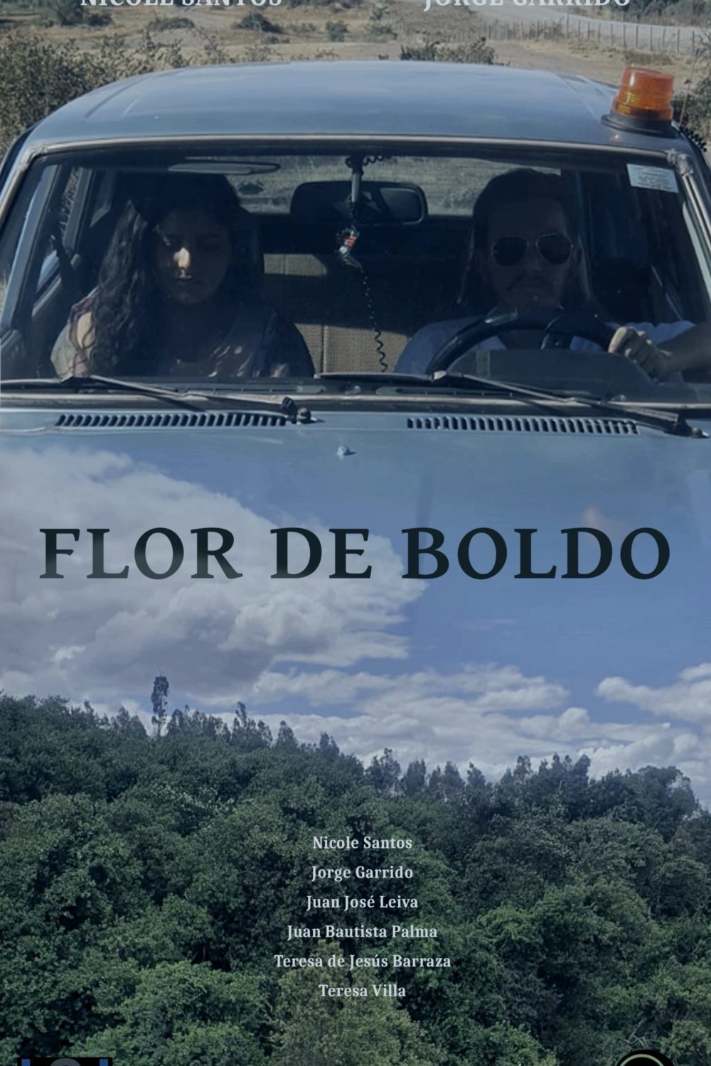 Afiche Flor de Boldo