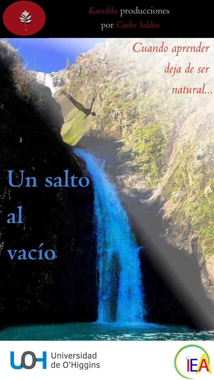 Afiche Un salto al vaci╠üo