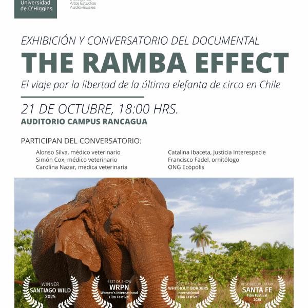 [Exhibición y conversatorio del documental] The Ramba Effect