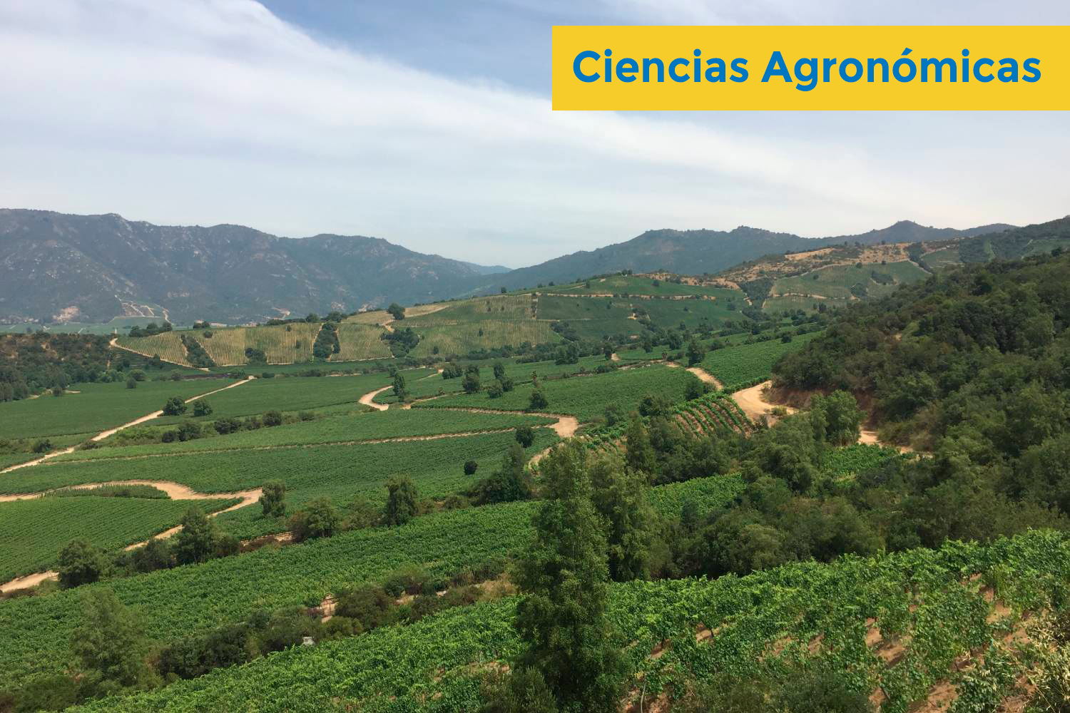 Cs Agronomicas