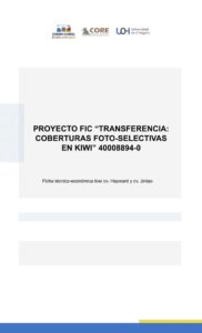 Fichas económicas FIC